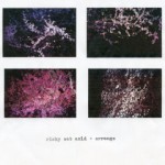 Ricky Eat Acid & Arrange