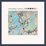 Wild Nothing