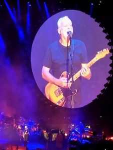 david Gilmour_a